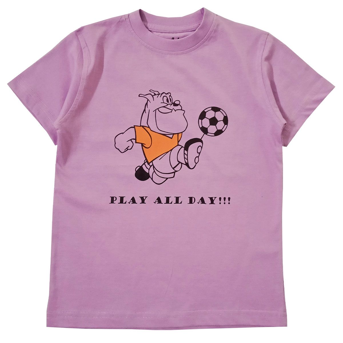 Snowflakes Boys Half Sleeve T-Shirt With Play All Day Print - Lavender