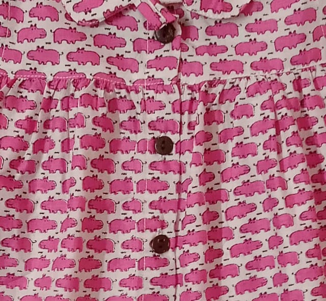 Snowflakes Girls Frock With Pink Hippo Prints- White