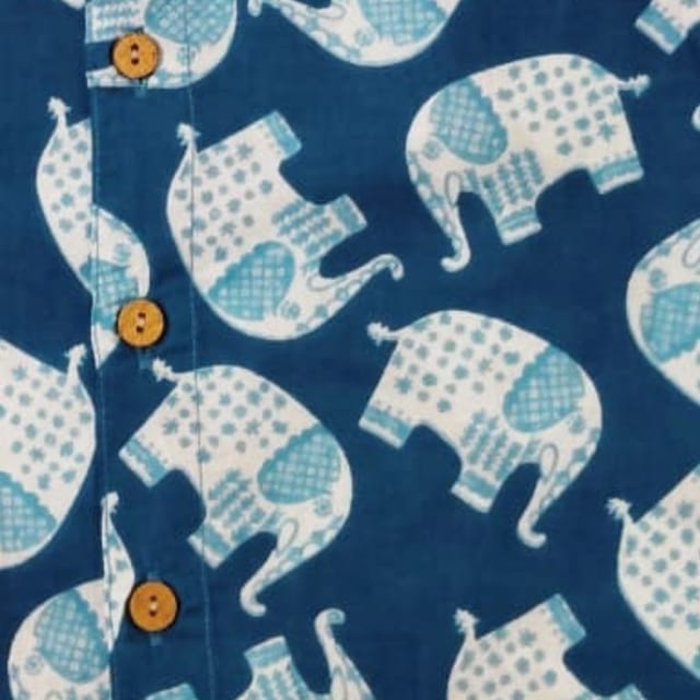 Snowflakes Full Sleeve Shirt With Elephant Print - Blue